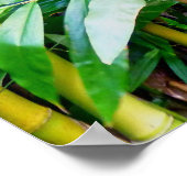 Hawaiian Bamboo Poster (Ecke)
