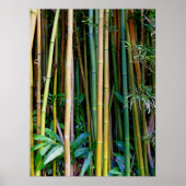 Hawaiian Bamboo Poster (Vorne)
