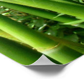 Hawaiian Bamboo Poster (Ecke)
