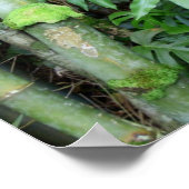 Hawaiian Bamboo und Blue Ginger Poster (Ecke)