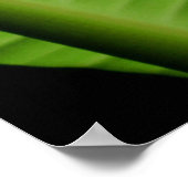 Hawaiian Banana Leaf Poster (Ecke)