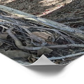 Hawaiian Banyan Tree Poster (Ecke)