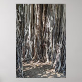 Hawaiian Banyan Tree Poster (Vorne)