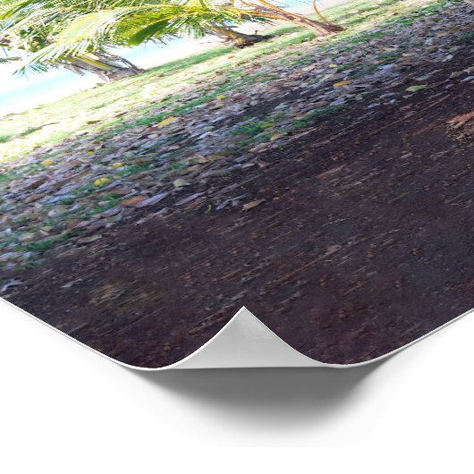 Hawaiian Banyan Tree Poster (Ecke)