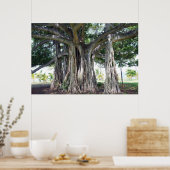 Hawaiian Banyan Tree Poster (Küche)