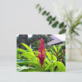 Hawaiian Bloom Postkarte (Stehend Vorderseite)