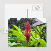 Hawaiian Bloom Postkarte (Vorne/Hinten)