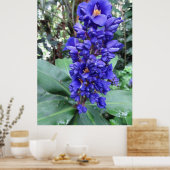 Hawaiian Blue Ginger Poster (Küche)