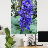 Hawaiian Blue Ginger Poster (Heimbüro)