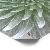 Hawaiian Cactus succulent Poster (Ecke)