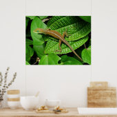 Hawaiian Chameleon Poster (Küche)