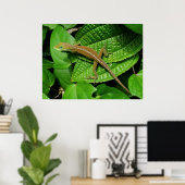 Hawaiian Chameleon Poster (Heimbüro)