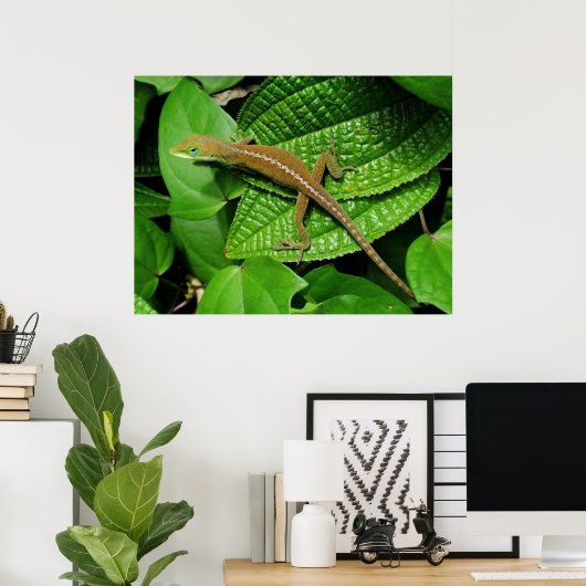 Hawaiian Chameleon Poster (Heimbüro)