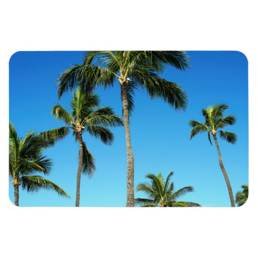 Hawaiian Coconut Trees Foto Magnet (Horizontal)