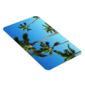 Hawaiian Coconut Trees Foto Magnet (Rechte Seite)