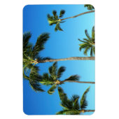 Hawaiian Coconut Trees Foto Magnet (Vertikal)