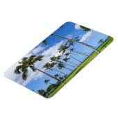 Hawaiian Coconut Trees Foto Magnet (Linke Seite)