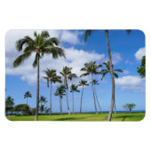 Hawaiian Coconut Trees Foto Magnet (Horizontal)