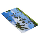 Hawaiian Coconut Trees Foto Magnet (Rechte Seite)