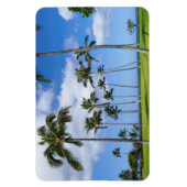 Hawaiian Coconut Trees Foto Magnet (Vertikal)
