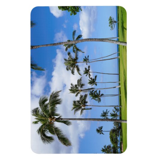 Hawaiian Coconut Trees Foto Magnet (Vertikal)