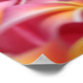 Hawaiian Dayz Poster (Ecke)