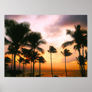 Hawaiian Exotic Beach Palm Trees Poster