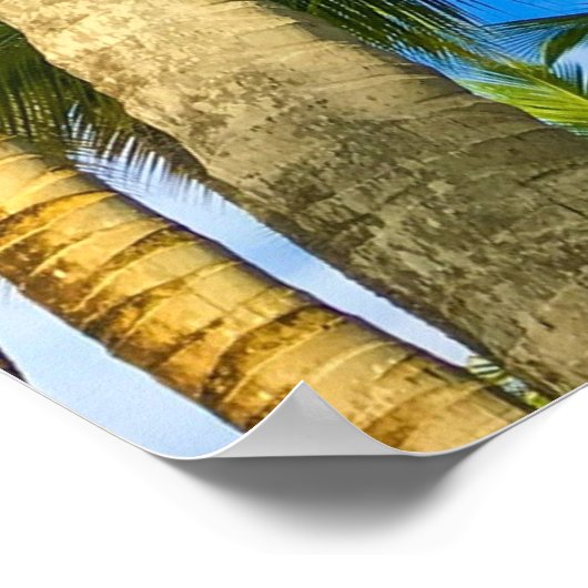 Hawaiian Exotic Beach Palm Trees Poster (Ecke)