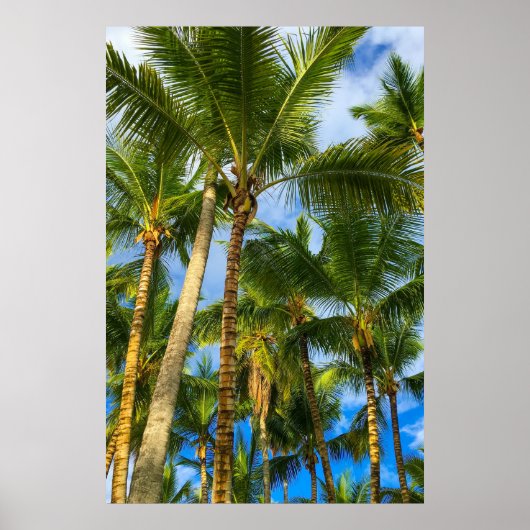 Hawaiian Exotic Beach Palm Trees Poster (Vorne)