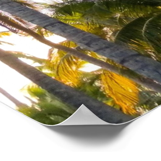 Hawaiian Exotic Beach Palm Trees Poster (Ecke)