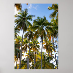 Hawaiian Exotic Beach Palm Trees Poster