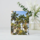 Hawaiian Exotic Beach Palm Trees Postkarte (Stehend Vorderseite)