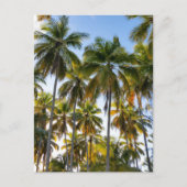 Hawaiian Exotic Beach Palm Trees Postkarte (Vorderseite)