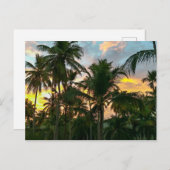 Hawaiian Exotic Beach Palm Trees Postkarte (Vorne/Hinten)