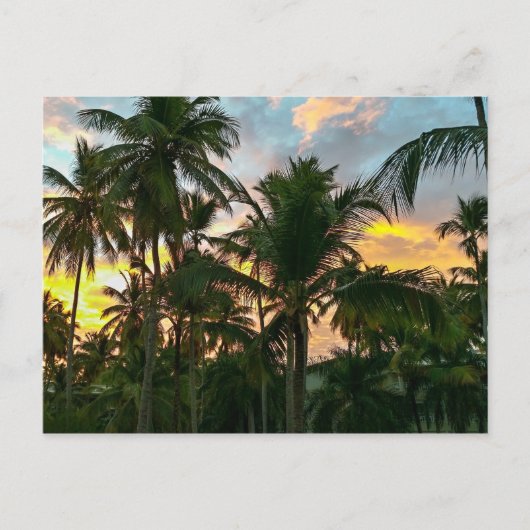 Hawaiian Exotic Beach Palm Trees Postkarte (Vorderseite)