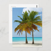 Hawaiian Exotic Beach Palm Trees Postkarte (Vorne/Hinten)