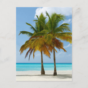 Hawaiian Exotic Beach Palm Trees Postkarte