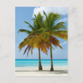 Hawaiian Exotic Beach Palm Trees Postkarte (Vorderseite)