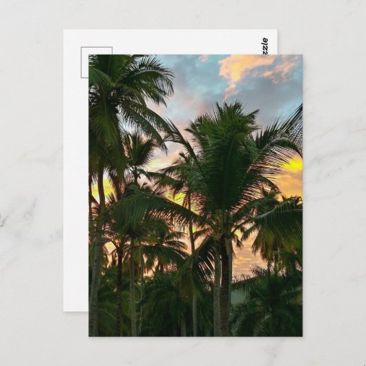 Hawaiian Exotic Beach Palm Trees Postkarte (Vorne/Hinten)