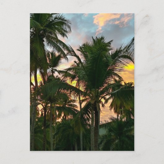 Hawaiian Exotic Beach Palm Trees Postkarte (Vorderseite)