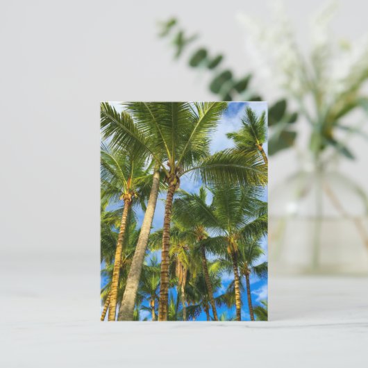 Hawaiian Exotic Beach Palm Trees Postkarte (Stehend Vorderseite)