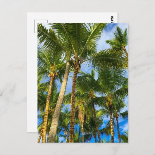 Hawaiian Exotic Beach Palm Trees Postkarte (Vorne/Hinten)