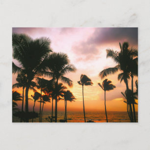 Hawaiian Exotic Beach Palm Trees Postkarte