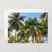 Hawaiian Exotic Beach Palm Trees Postkarte (Vorne/Hinten)