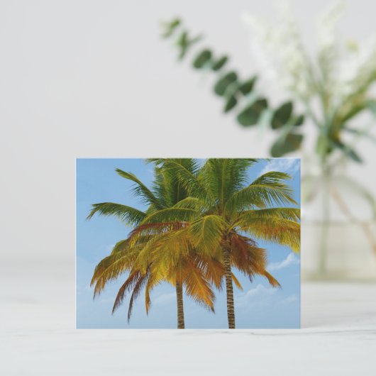 Hawaiian Exotic Beach Palm Trees Postkarte (Stehend Vorderseite)