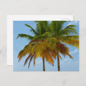 Hawaiian Exotic Beach Palm Trees Postkarte (Vorne/Hinten)