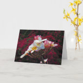 Hawaiian Frangipani Karte (Gelbe Blume)