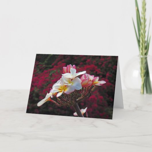 Hawaiian Frangipani Karte (Vorderseite)