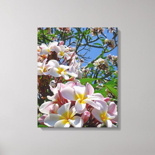 Hawaiian Frangipani Leinwanddruck (Vorderseite)