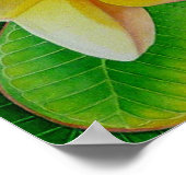 Hawaiian Frangipani Poster (Ecke)